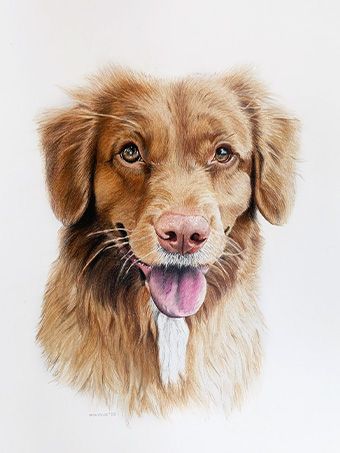 potloodtekening kind