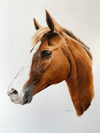 potloodtekening kind