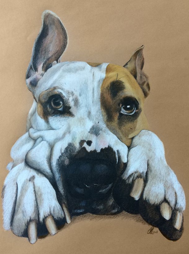 potloodtekening op bruin papier