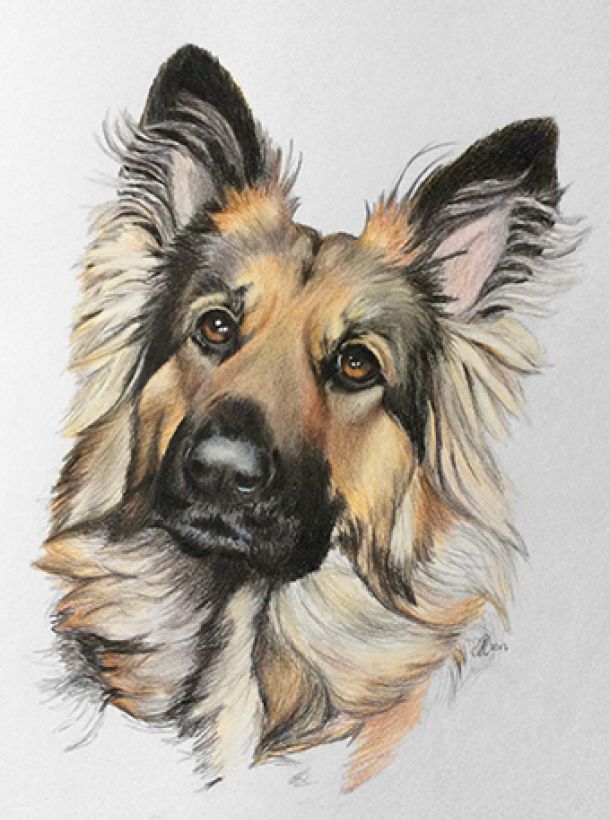 potloodtekening eindresultaat